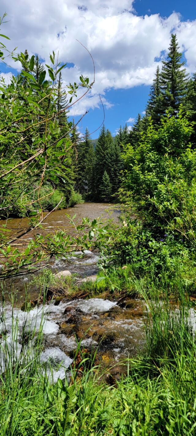 Gore Creek 14