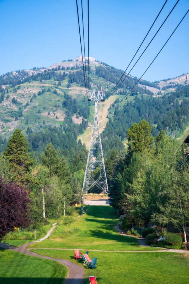 Aerial Tram (2)