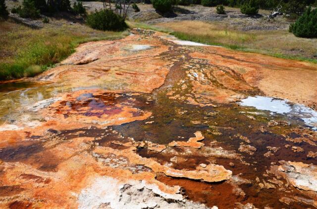 Mammoth Hot Springs Terrace (3)