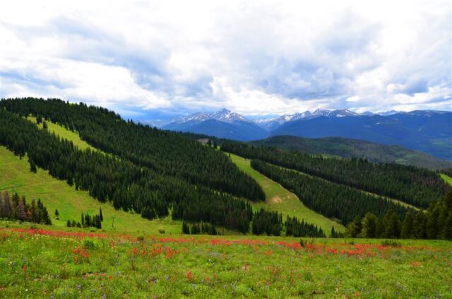 Ridge Route views (6)