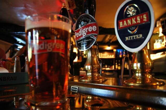 A pint of Pedigree, please!