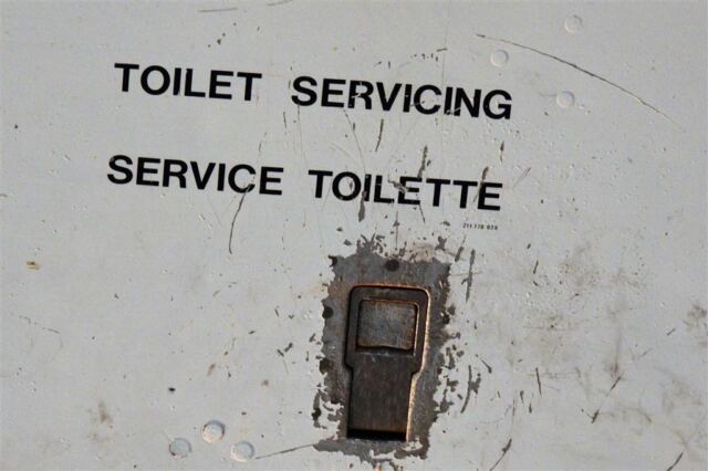Toilet Servicing access door