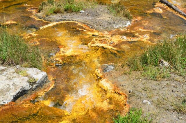 Sulfur stream from Imperial Geyser (3)