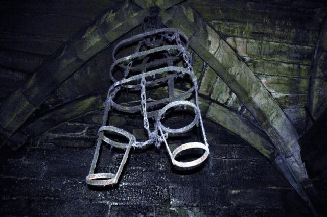 Torture harness (1)