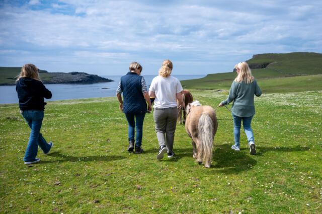 The Shetland Pony Experience 66