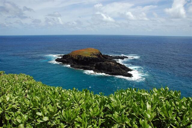 Sanctuary island (2)