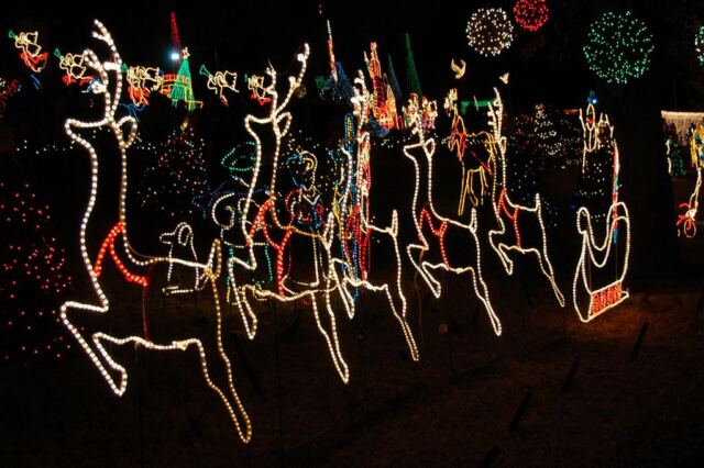 prancing-reindeer