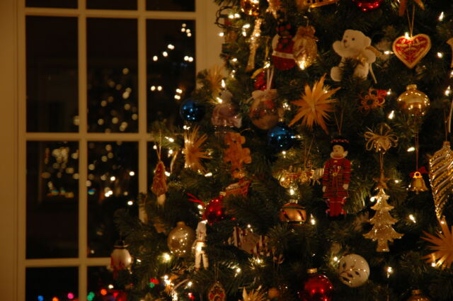 christmas-tree-reflections