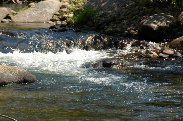 Mountain stream details