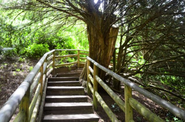 Warwick Castle - The Mound stairs