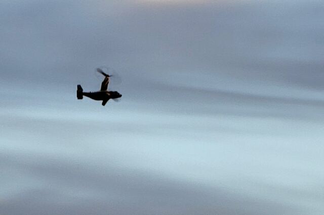 Osprey on final to Sedona
