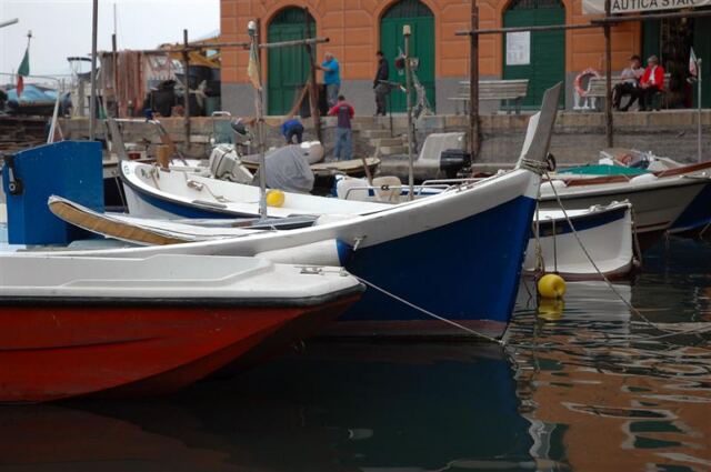 Colorful fishing boats