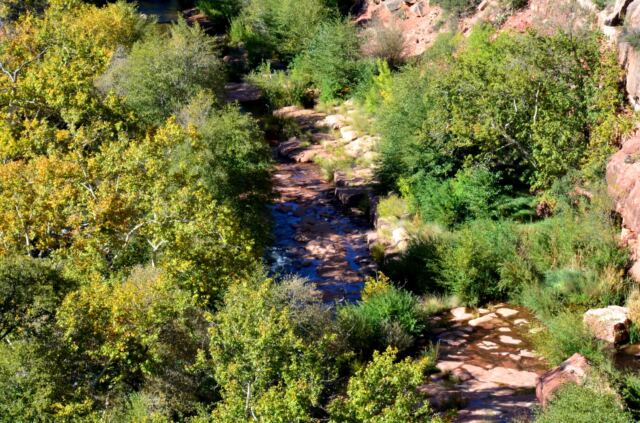 Oak Creek Canyon overlook (12)