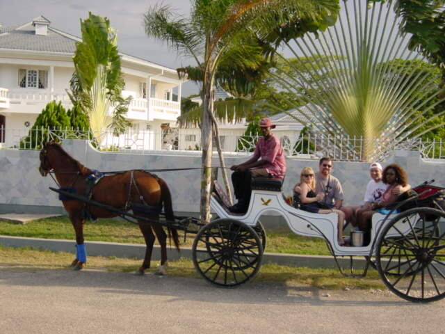 Horse & buggy ride (2)