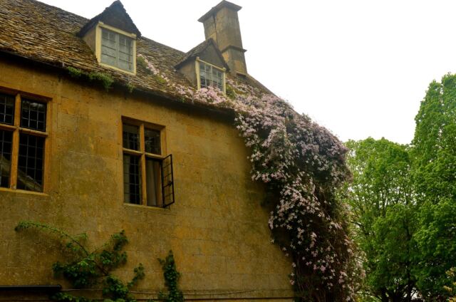 Flowers on Charingworth