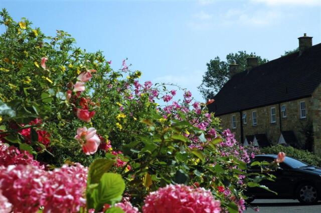 Chipping Campden - flowers