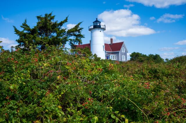 Nobska Lighthouse 17