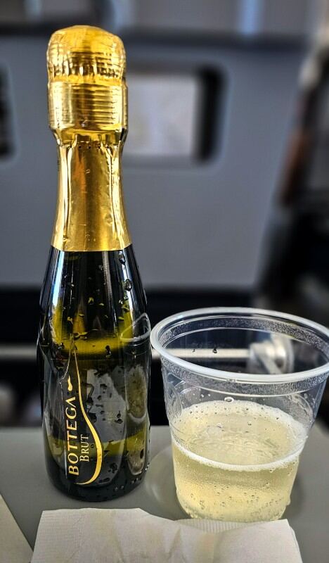 Travel bubbly