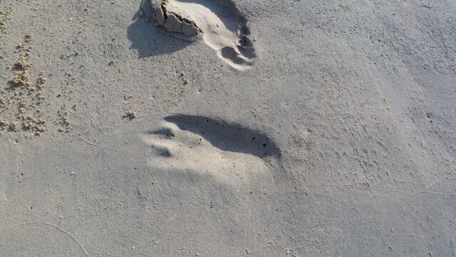 Alien footprint on Emerald Beach