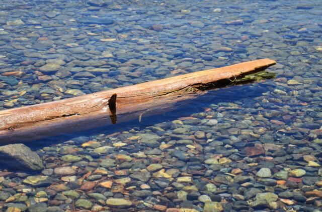 Fallen Leaf Lake 06