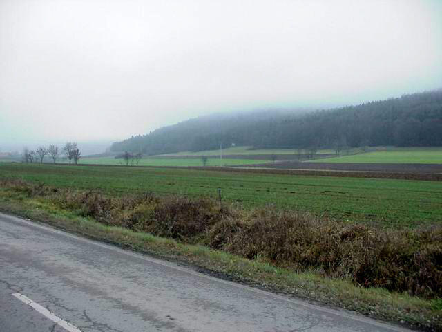 Fog on the fields