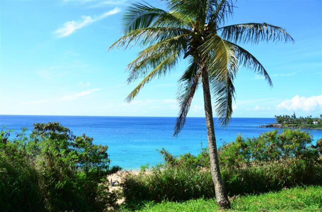 waimea-bay