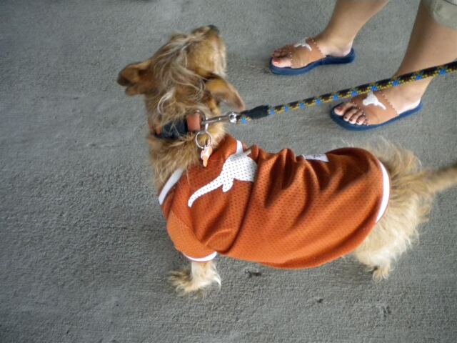 Murphy's decked out