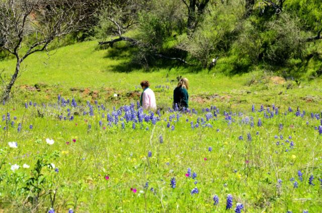 Kathy Geri and Paul walking in the distance 3