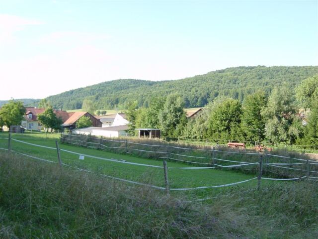 hillside-from-start-of-woods