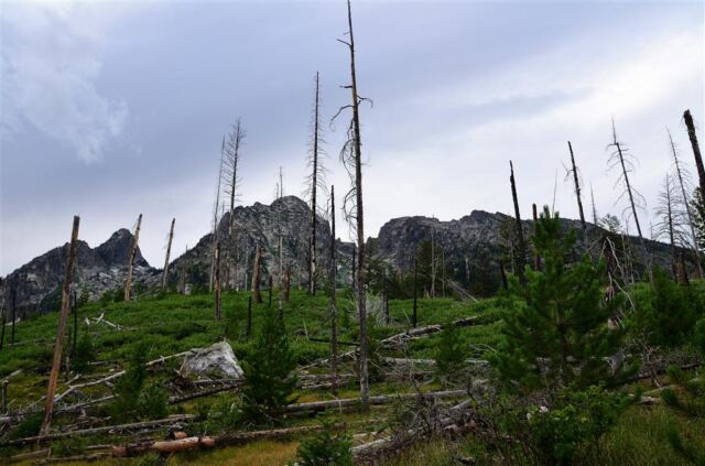 String Lake fire damage (4)