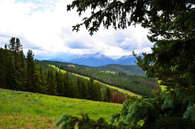 Ridge Route views (5)
