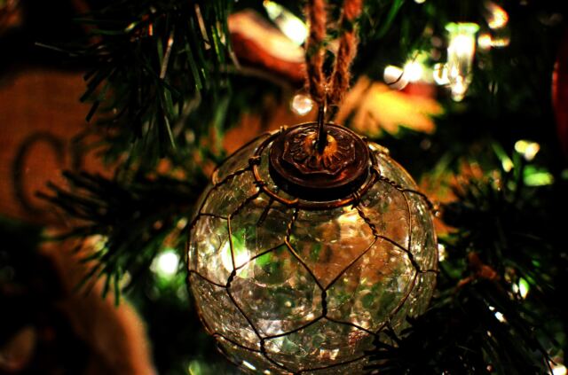 Main-tree-17
