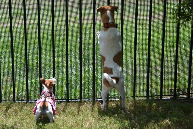wait.-how-do-we-get-out-there