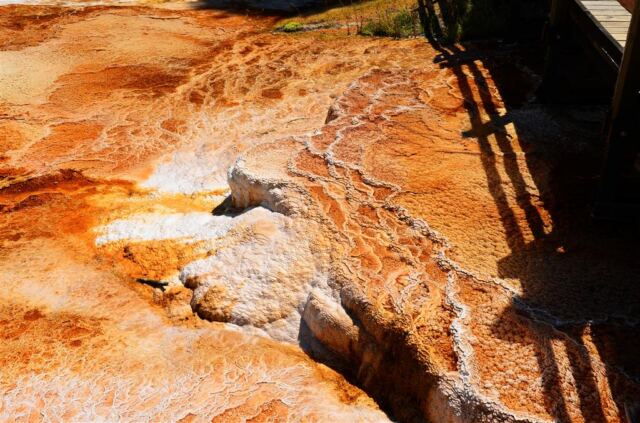 Mammoth Hot Springs Terrace (7)