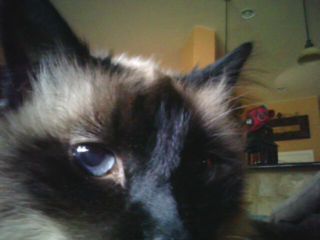 imag0450