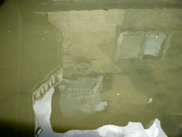 look-fish-