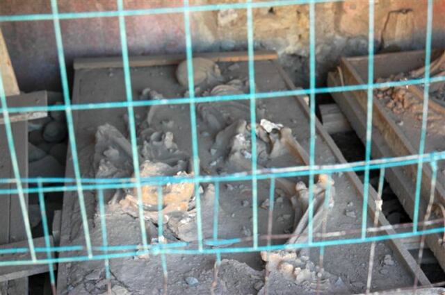 Pompeii - skeletons (3)