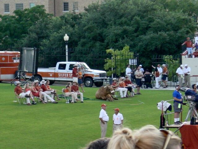 Bevo's not worried