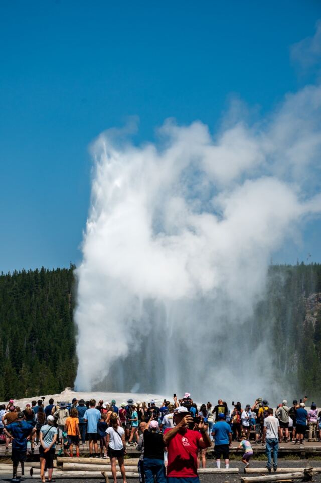 Old Faithful erupts