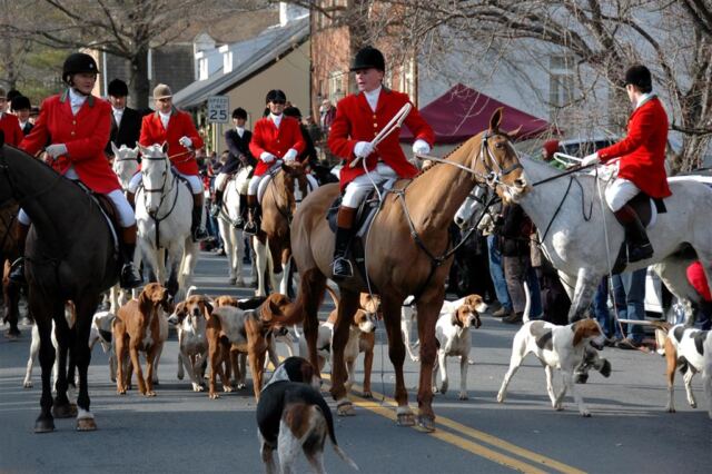 Horses and Hounds Parade