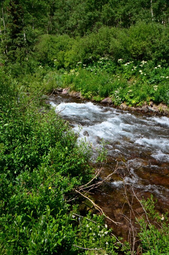 West Maroon Creek Falls 02
