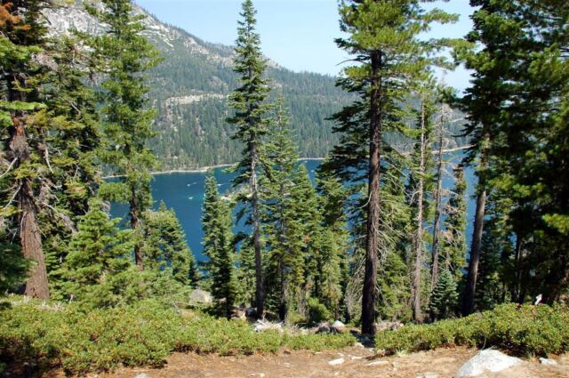 Emerald Bay through the trees