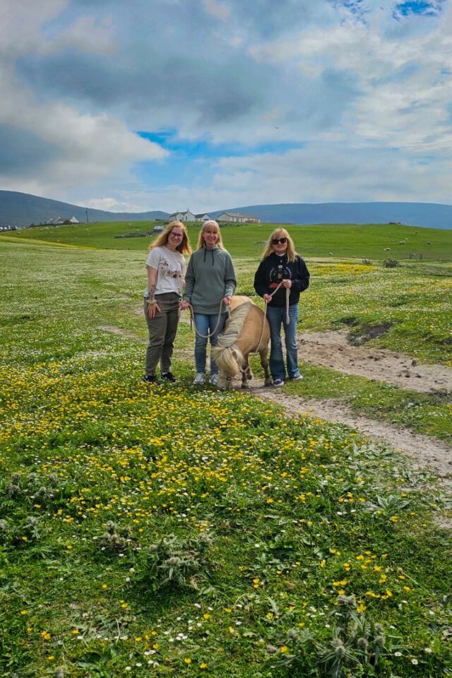 The Shetland Pony Experience 73