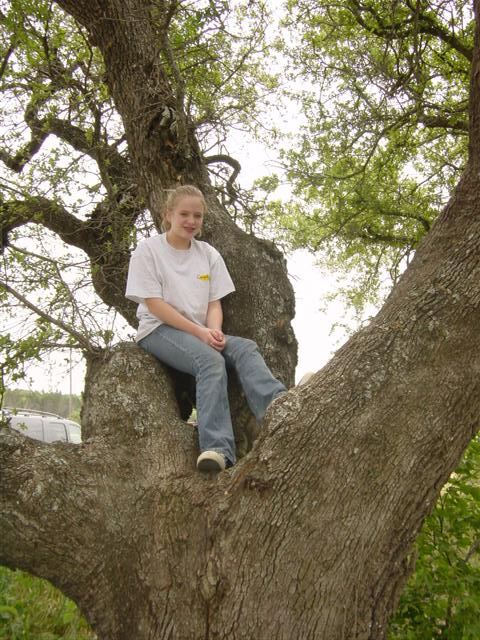 melanie-in-the-tree