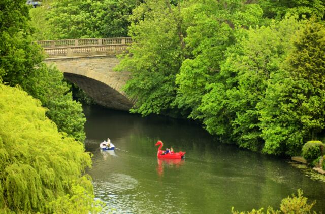 paddle-boats-on-river-avon-1