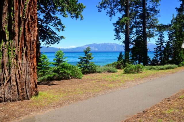 Sugar Pine Point walk 11