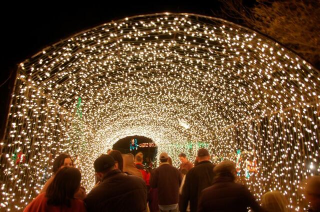 tunnel-of-lights