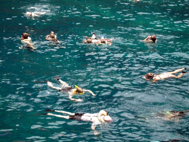 PO - snorkeling (5)