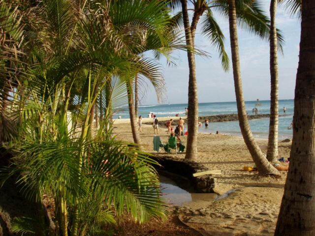 PO - Waikiki Beach and palms