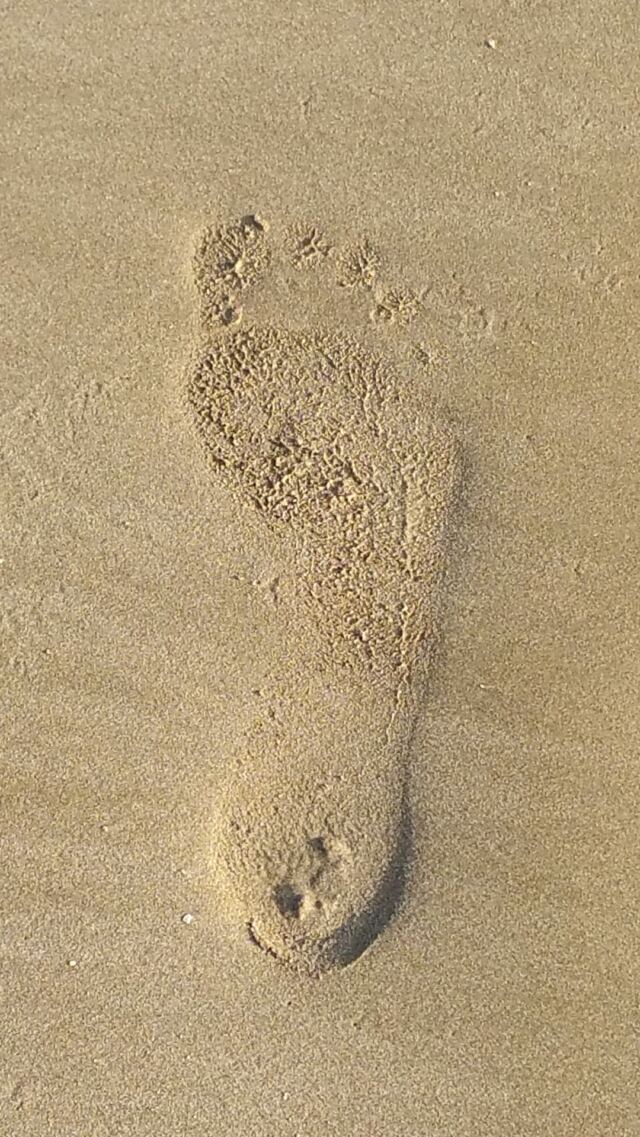 Footprint